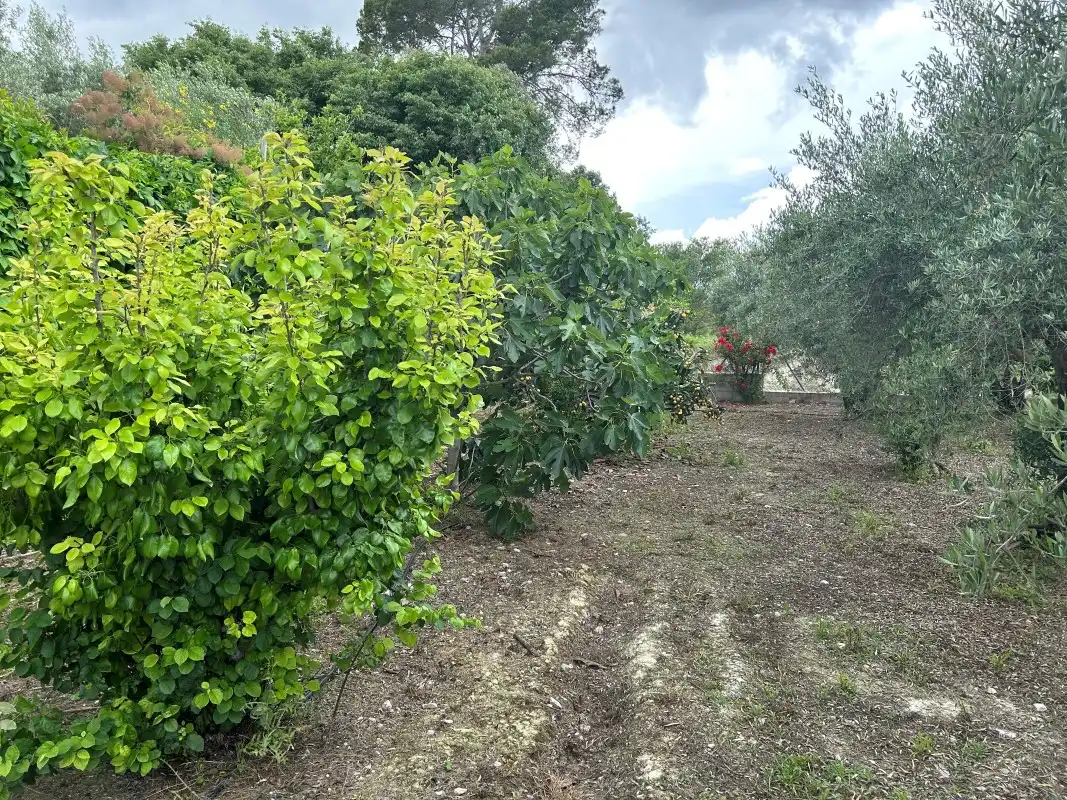 Casa o xalet en venda en Sempere amb Aire condicionat, Jardí privat i Terrassa