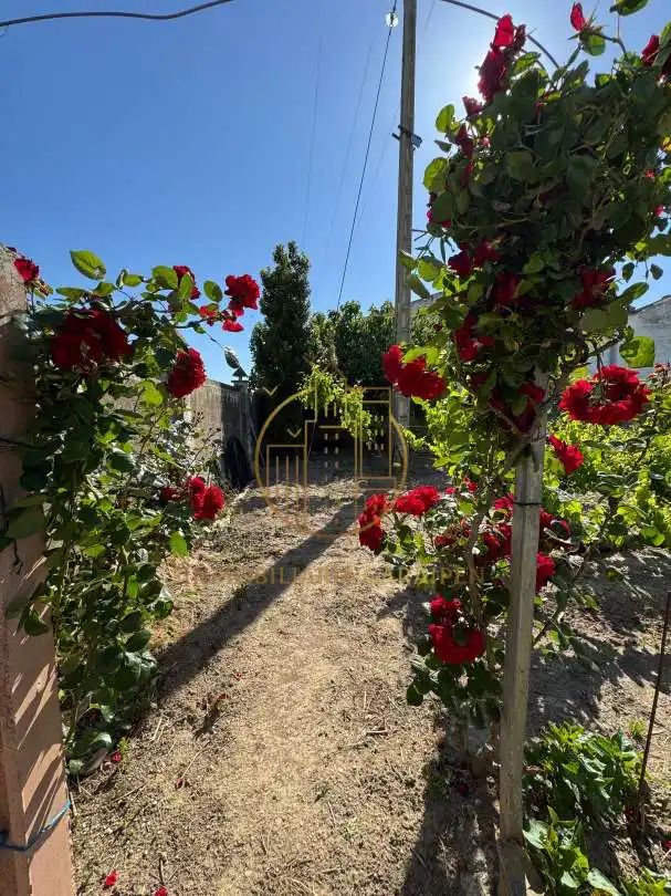 Jardín de Terreno en venta en Santacara