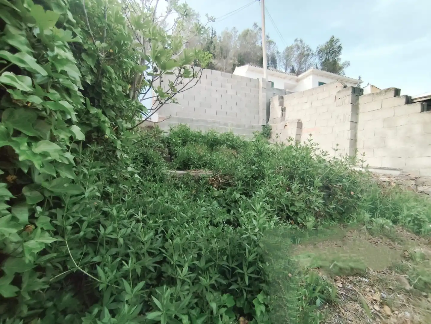 Casa o xalet en venda en Almoguera amb Jardí privat