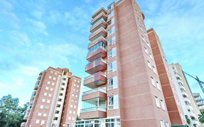 Vista exterior de Apartament en venda en Guardamar del Segura amb Aire condicionat, Calefacció i Terrassa