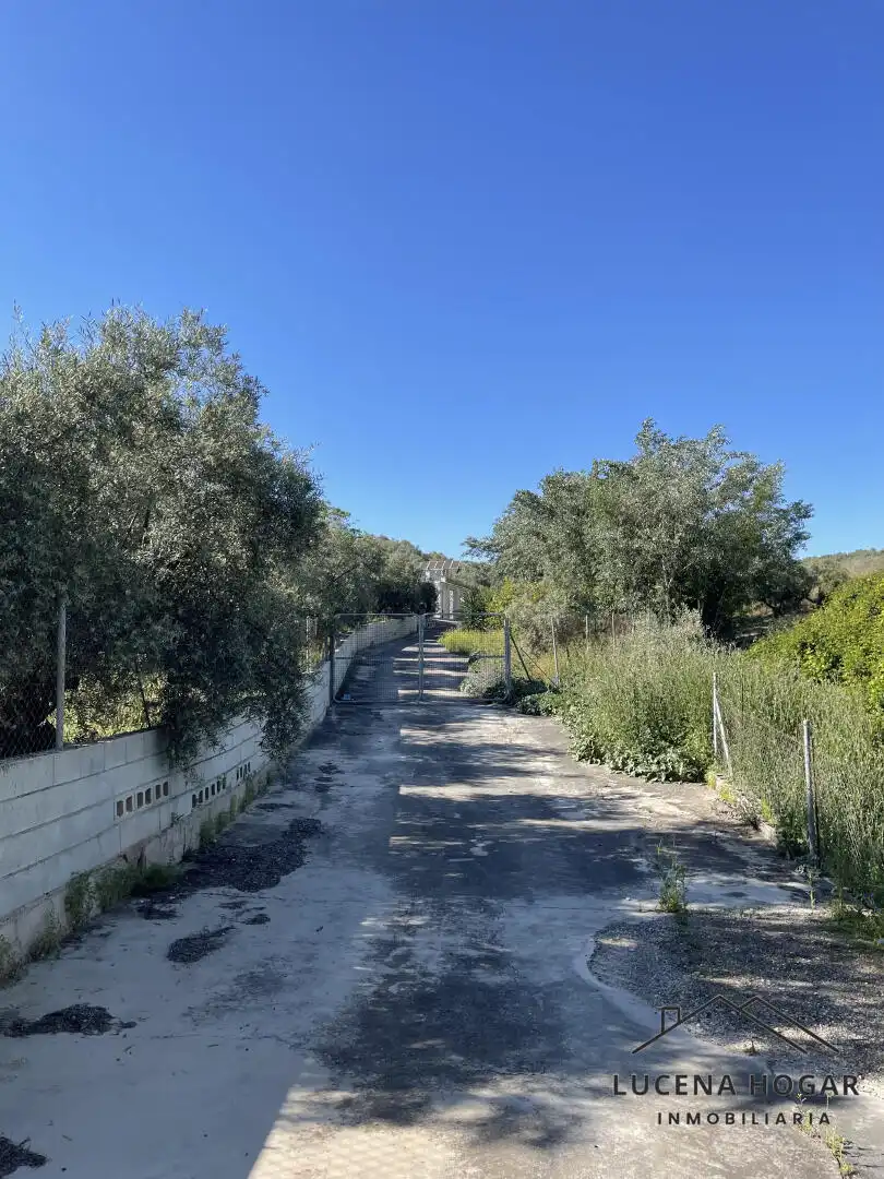 Grundstücke und Bauplätze zum Verkauf in Las Vegas - Campoaras, imagen 21