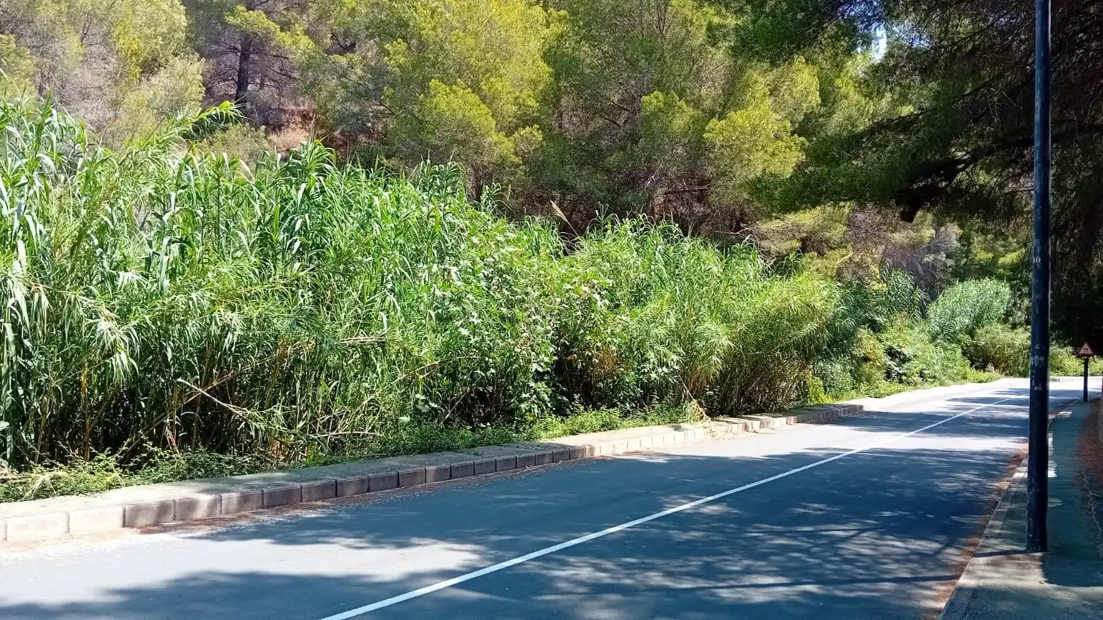 Lands and plots for sale in Mascarat, imagen 6