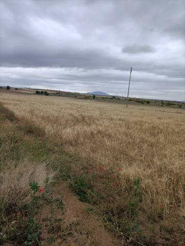 Terreno en Venta en Almonacid de Toledo