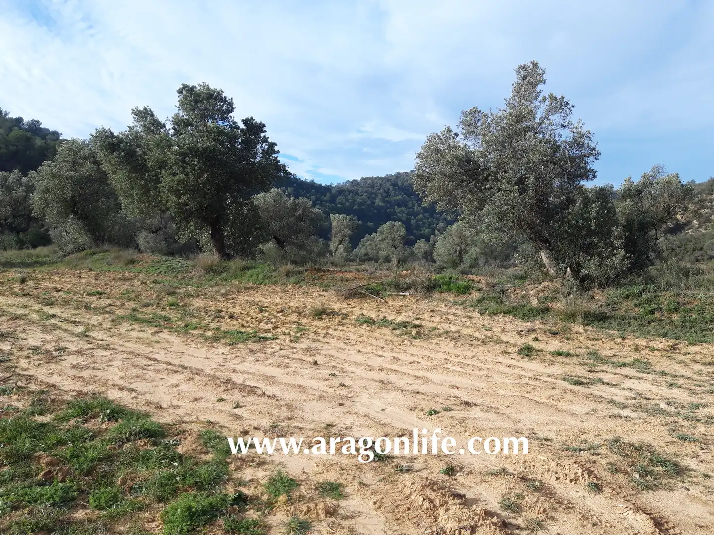 Finca rústica en venta en Batea