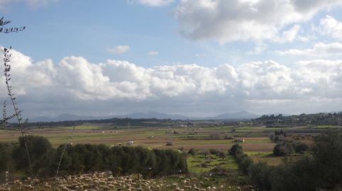 Finca rústica en Muro., immagine 2