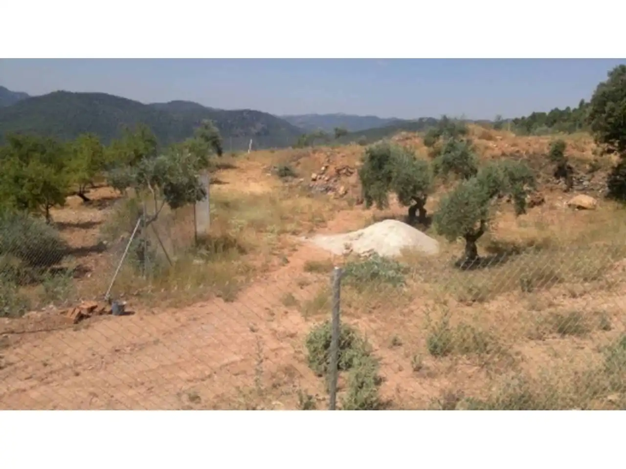 Terreno rustico in vendita a Bogarra, imagen 4