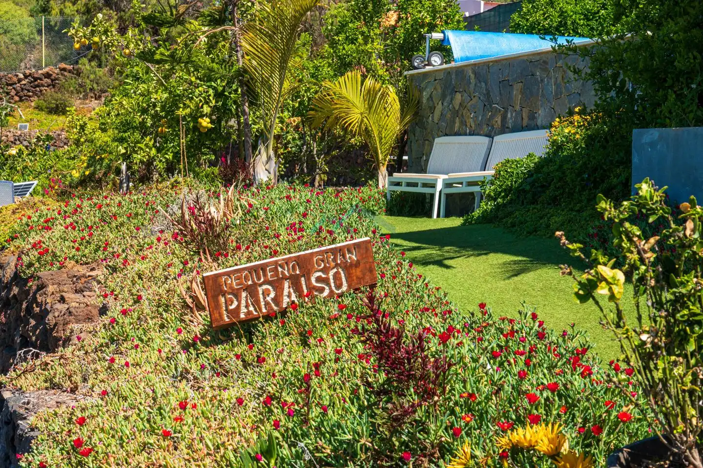 Garden of Country homes for sale in Guía de Isora