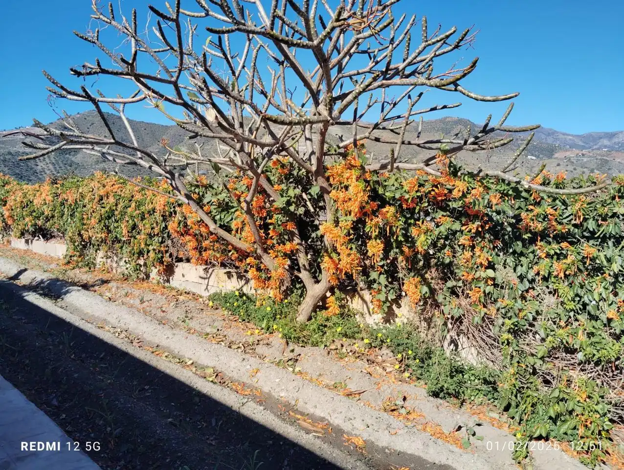 Casa con jardín en venta en Camino de los García, imagen 8