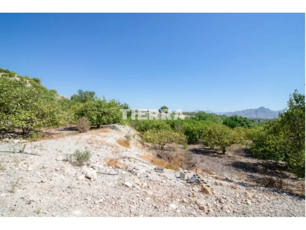 Lands and plots for sale in Poligono El Semolilla, imagen 10