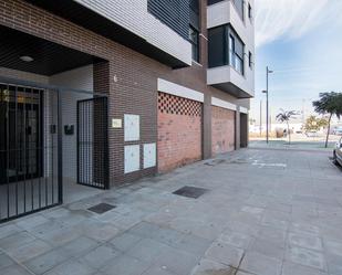 Exterior view of Premises for sale in Armilla