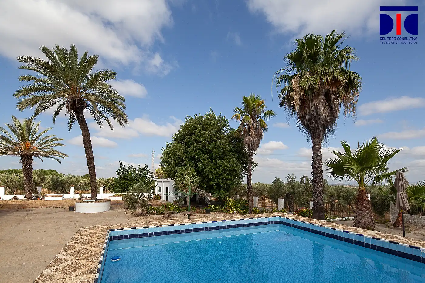 Piscina de Finca rústica en venta en Carmona con Jardín privado, Terraza y Piscina