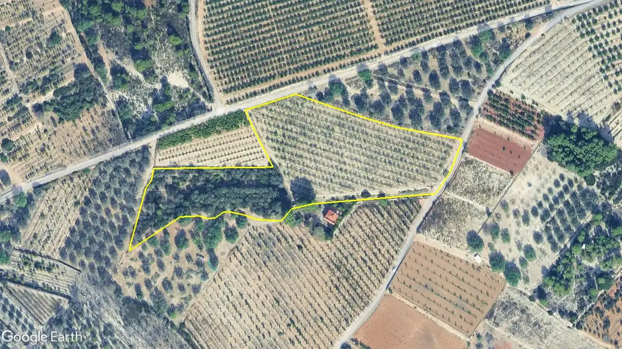 Land for sale in Torres Torres