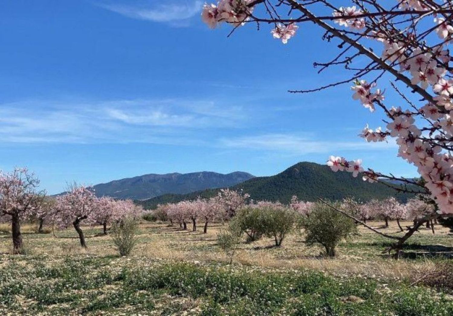 Außenansicht von Country house zum verkauf in Vélez-Rubio mit Heizung, Privatgarten und Abstellraum