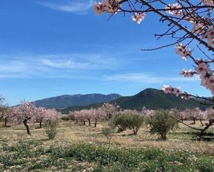 Vista exterior de Finca rústica en venda en Vélez-Rubio amb Calefacció, Jardí privat i Traster