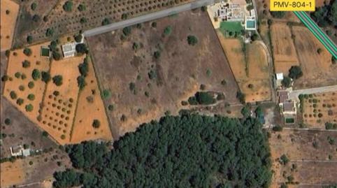 Photo 5 of Land for sale in Santa Gertrudis, Illes Balears