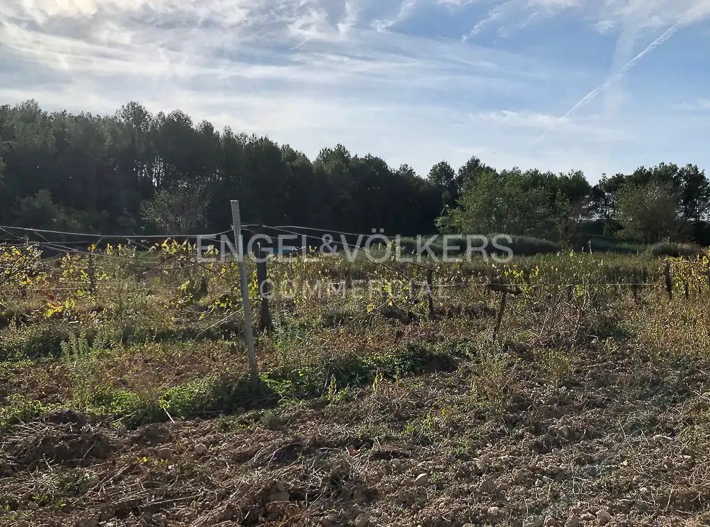 Fabrik Grundstücke zum Verkauf in Avinyonet del Penedès