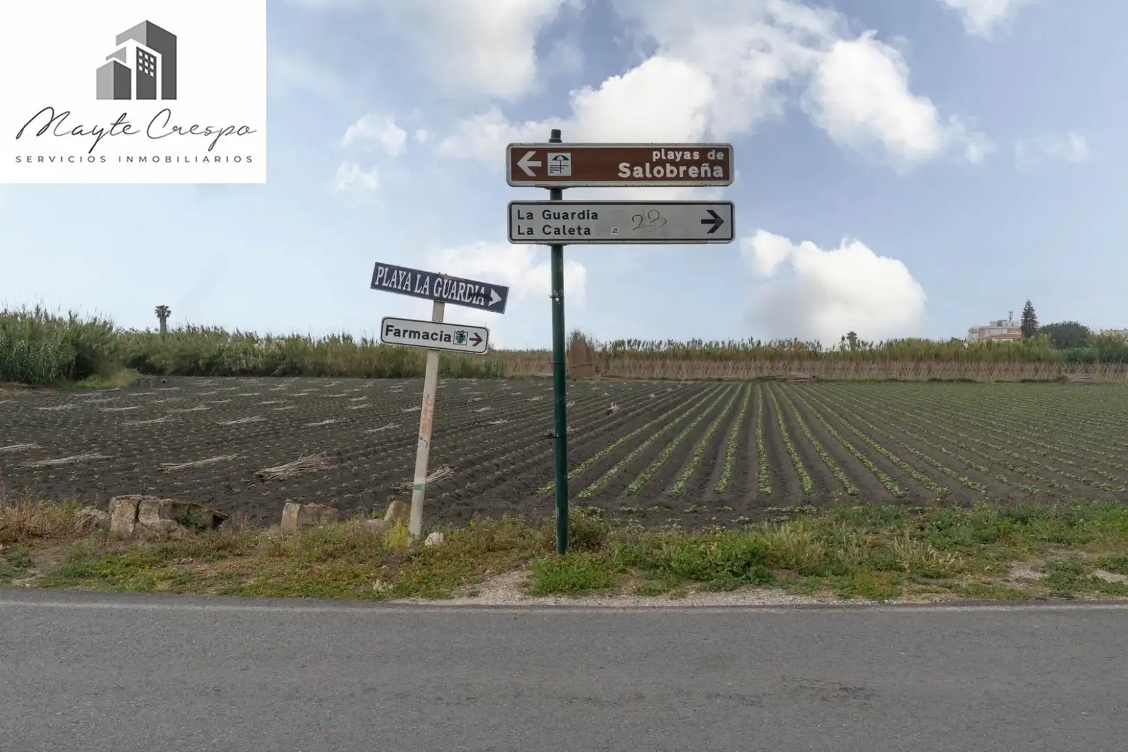 Terreni e lotti in vendita a CARRETERA MALAGA (CAL) 74, imagen 7