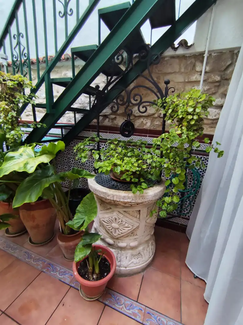 Casa con terrazza in vendita a Plaza San Pedro, imagen 30