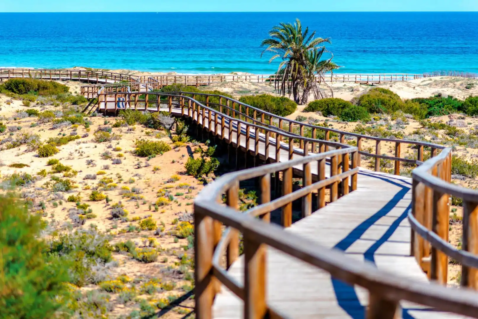Vista exterior de Casa o xalet en venda en Santa Pola amb Aire condicionat, Calefacció i Jardí privat