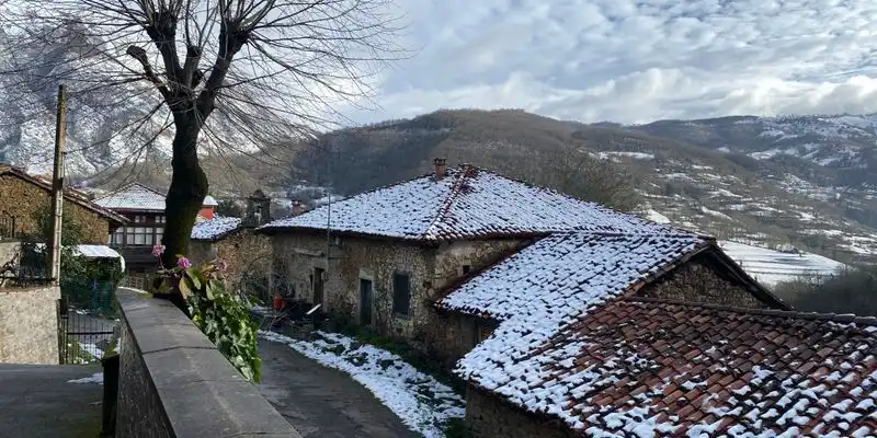 Exterior view of Houses for sale in Ponga  with Private garden, Terrace and Storage room