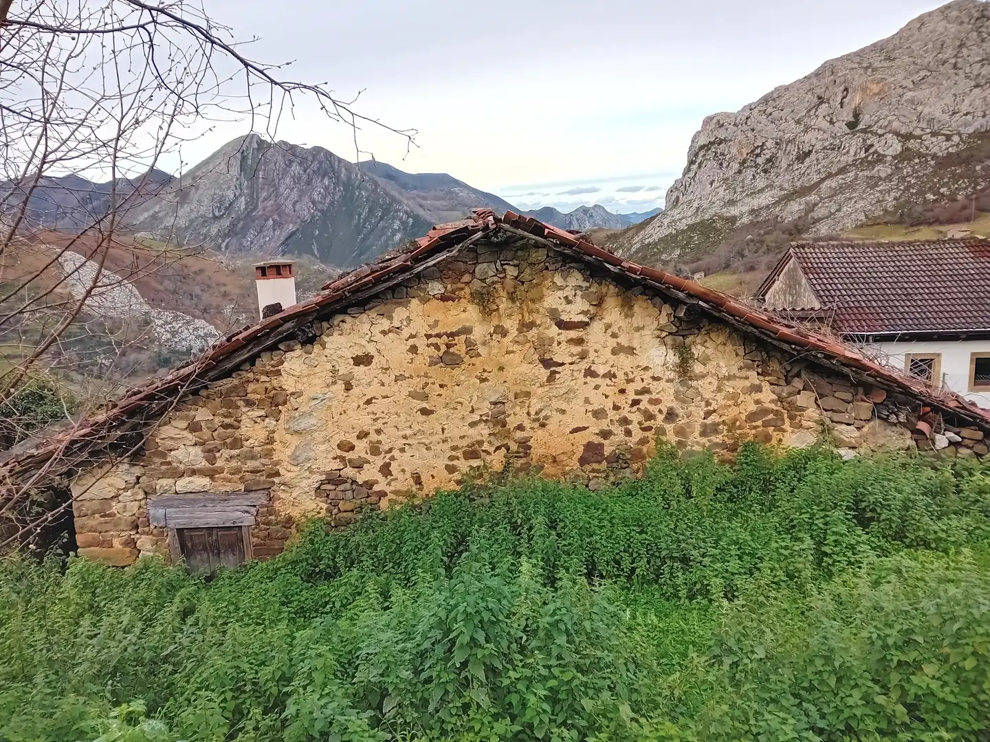 Vista exterior de Finca rústica en venta en Amieva