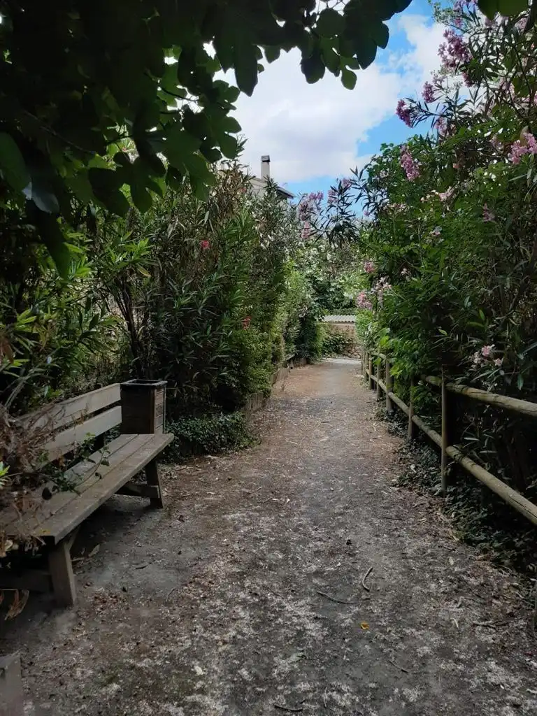 Garden of Detached homes for sale in Bergasa
