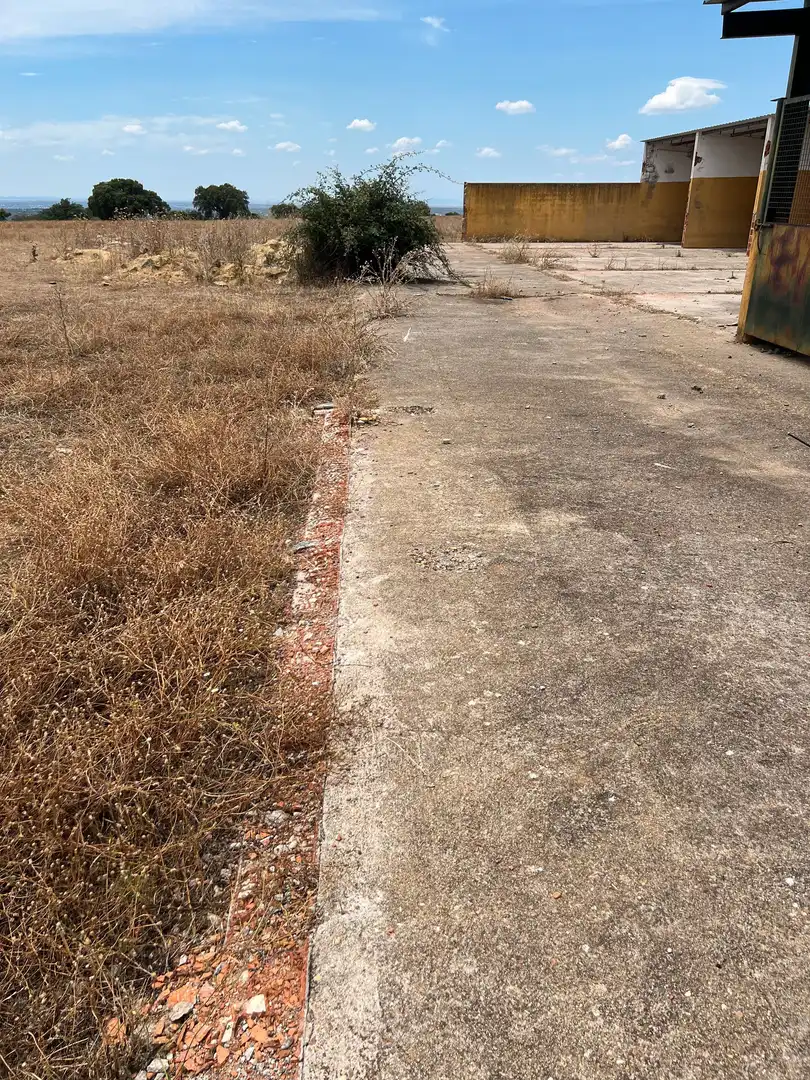 Land for sale in Calle Hernán Cortés, 20, Jaraicejo
