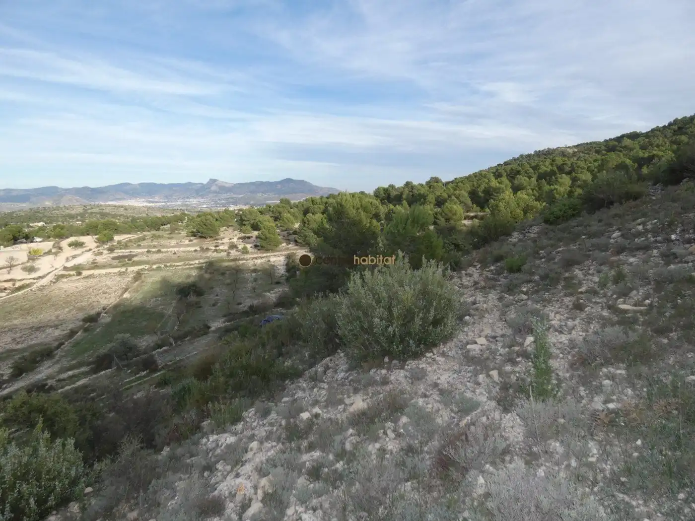 Residential land for sale in Monóvar  / Monòver, imagen 8