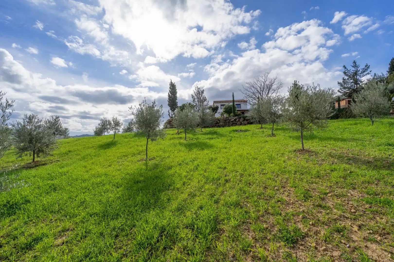 Villa zum Verkauf in Álora, imagen 61