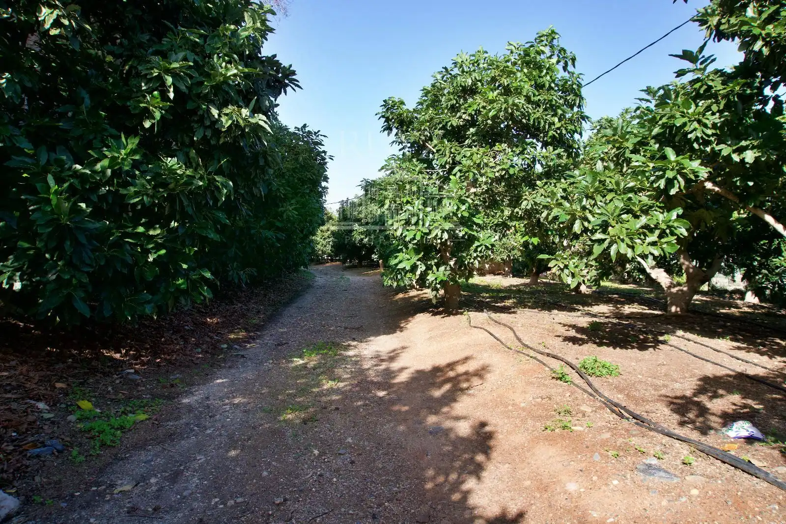 Terreni e lotti in vendita a Barranco del Inglés, imagen 48