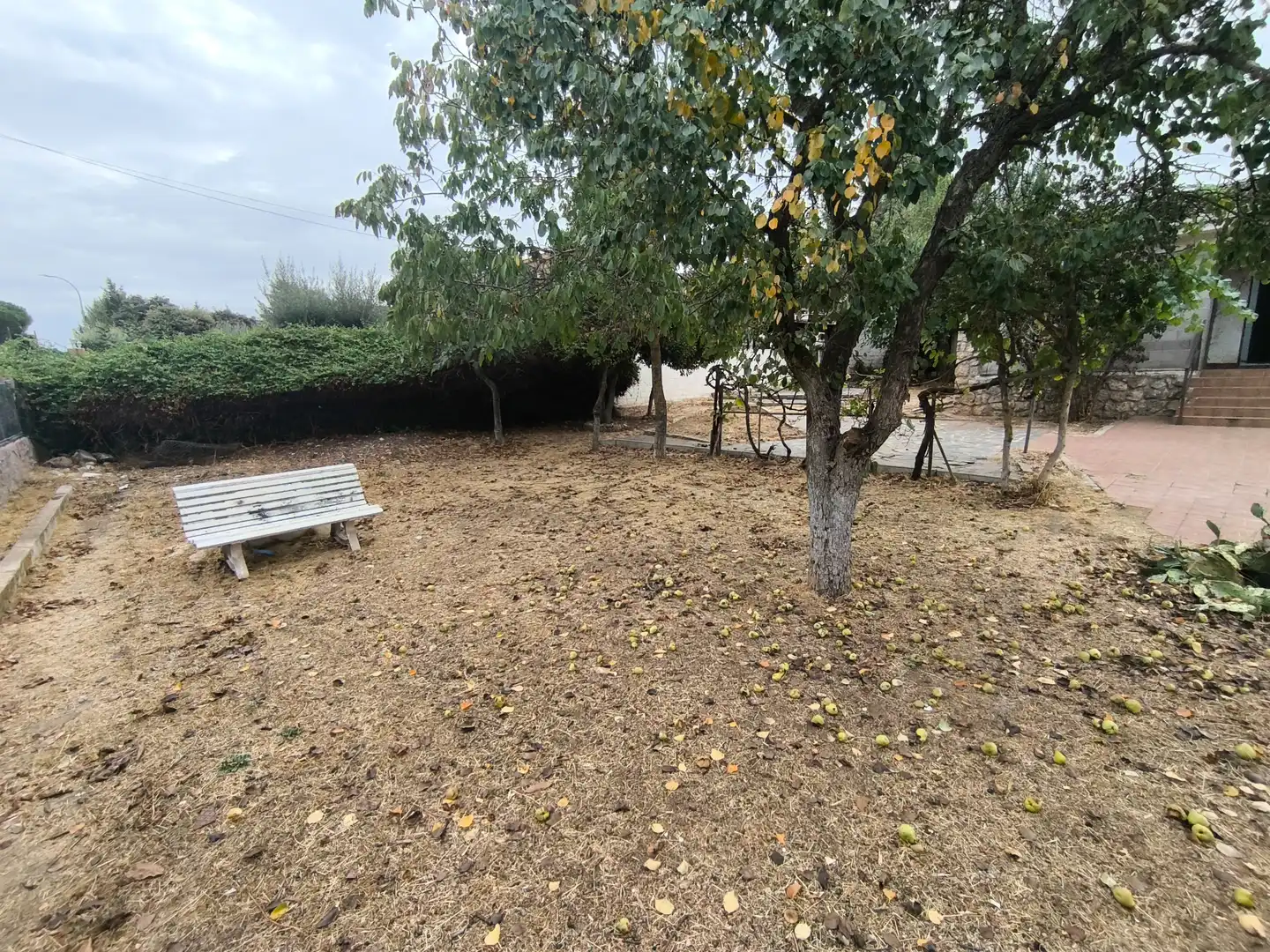 Villa con giardino in vendita a Avenida Nápoles, imagen 20