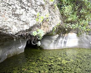 Finca rústica en venda en Teror amb Jardí privat, Terrassa i Internet