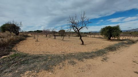 Photo 4 of Residential for sale in Umbria (la), Abanilla, Murcia