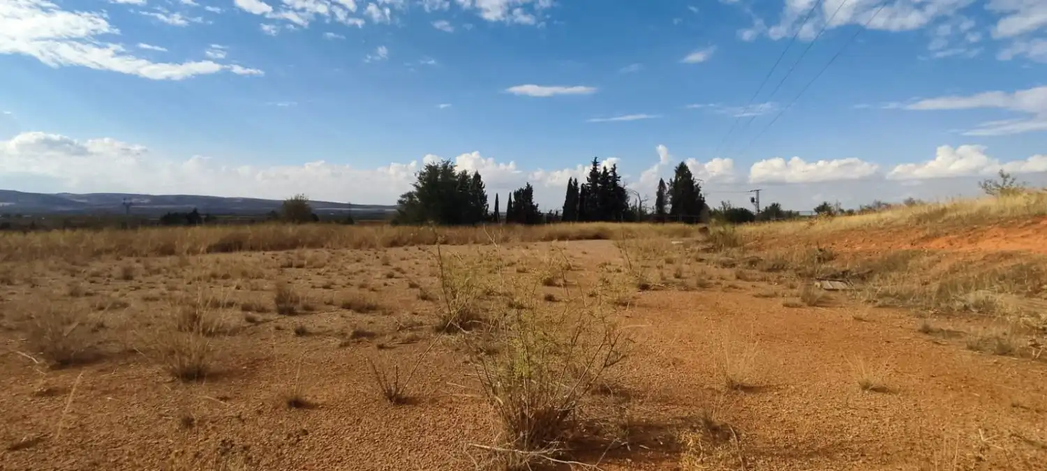 Lands and plots for sale in Valdepeñas, imagen 2