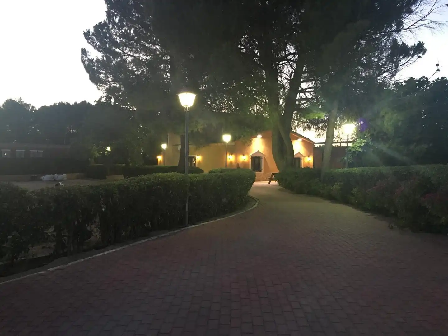 Jardín de Casa o chalet en venta en Colmenar de Oreja con Aire acondicionado, Calefacción y Amueblado