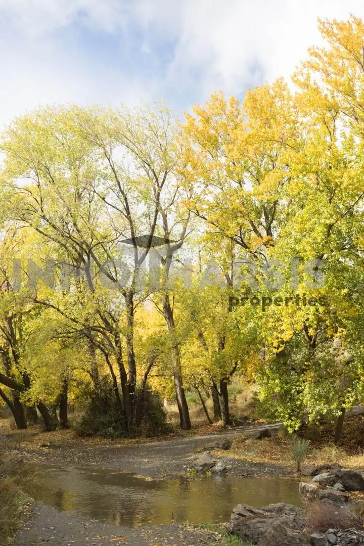 Vista exterior de Casa o xalet en venda en Abrucena amb Jardí privat, Terrassa i Moblat