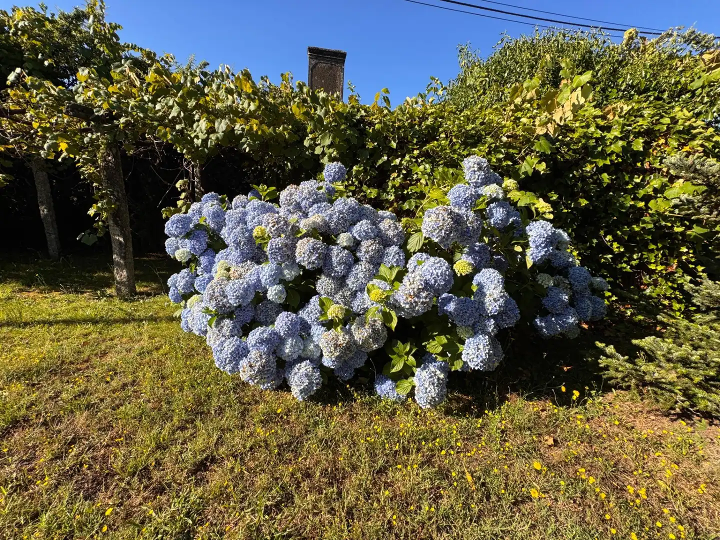 Jardín de Casa o chalet en venta en Pontevedra Capital  con Calefacción, Jardín privado y Terraza
