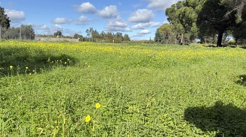 Photo 3 of Country homes for sale in Gibraleón, Huelva
