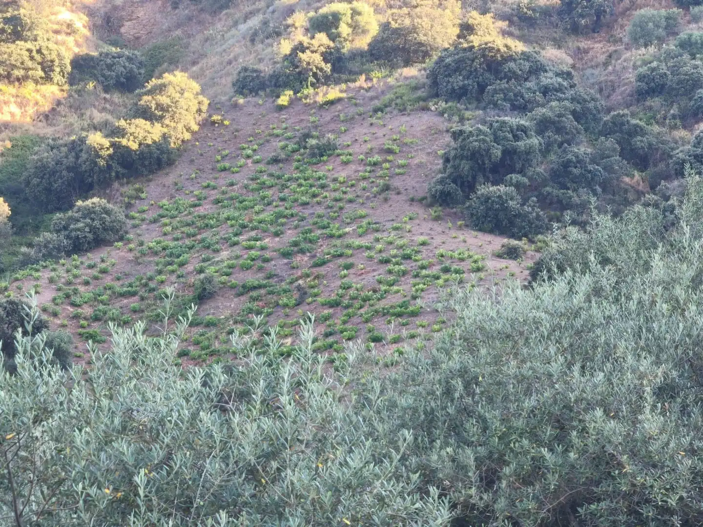 Terrenys i solars en venda a Colmenar, imagen 42