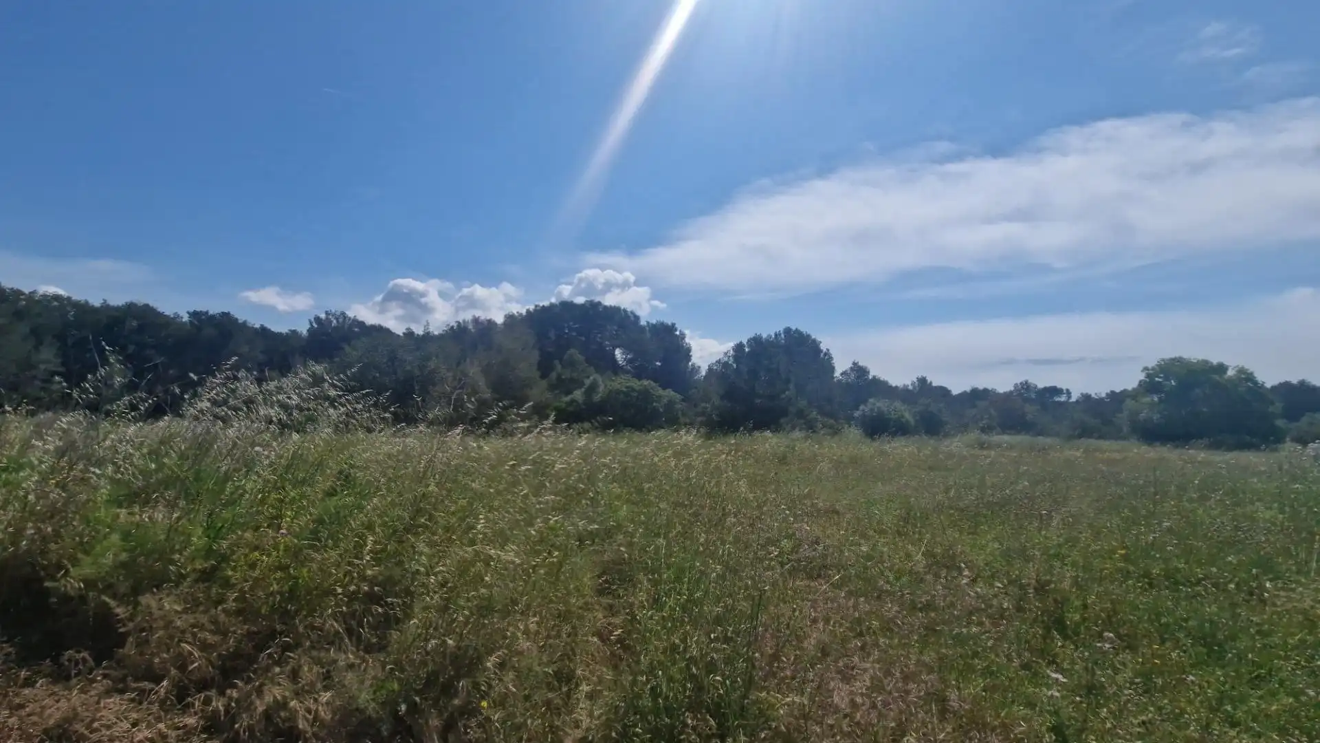 Terreno rustico in vendita a Valls, imagen 36