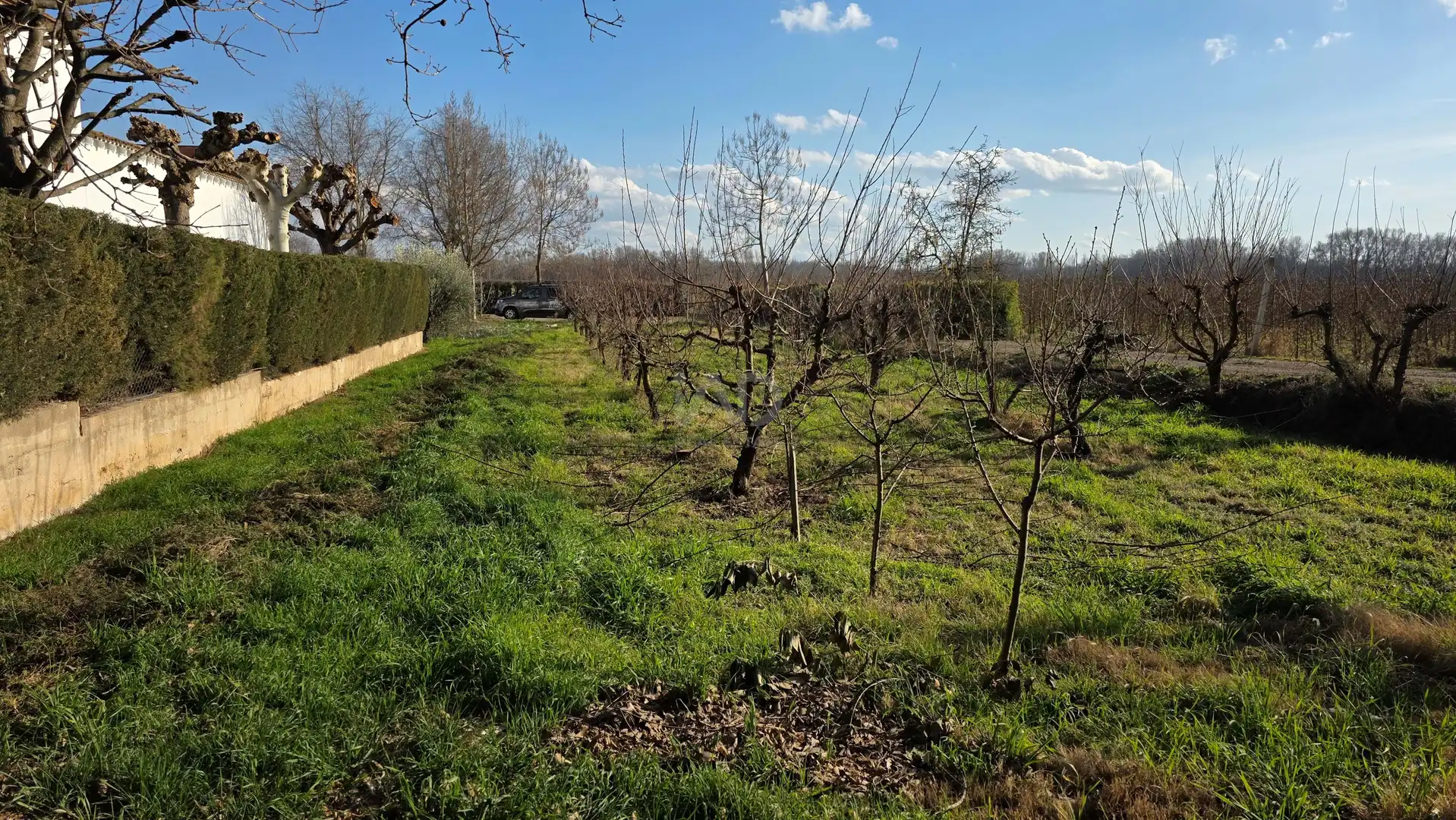 Maison à vendre à Partides de Lleida, imagen 4