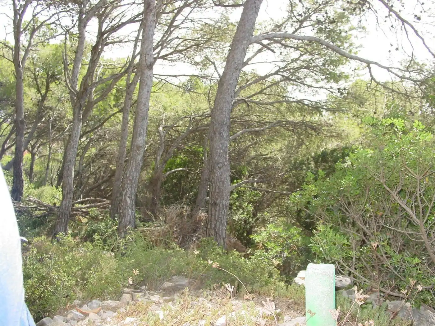 Terreny residencial en venda a L'Estartit Poble, imagen 11