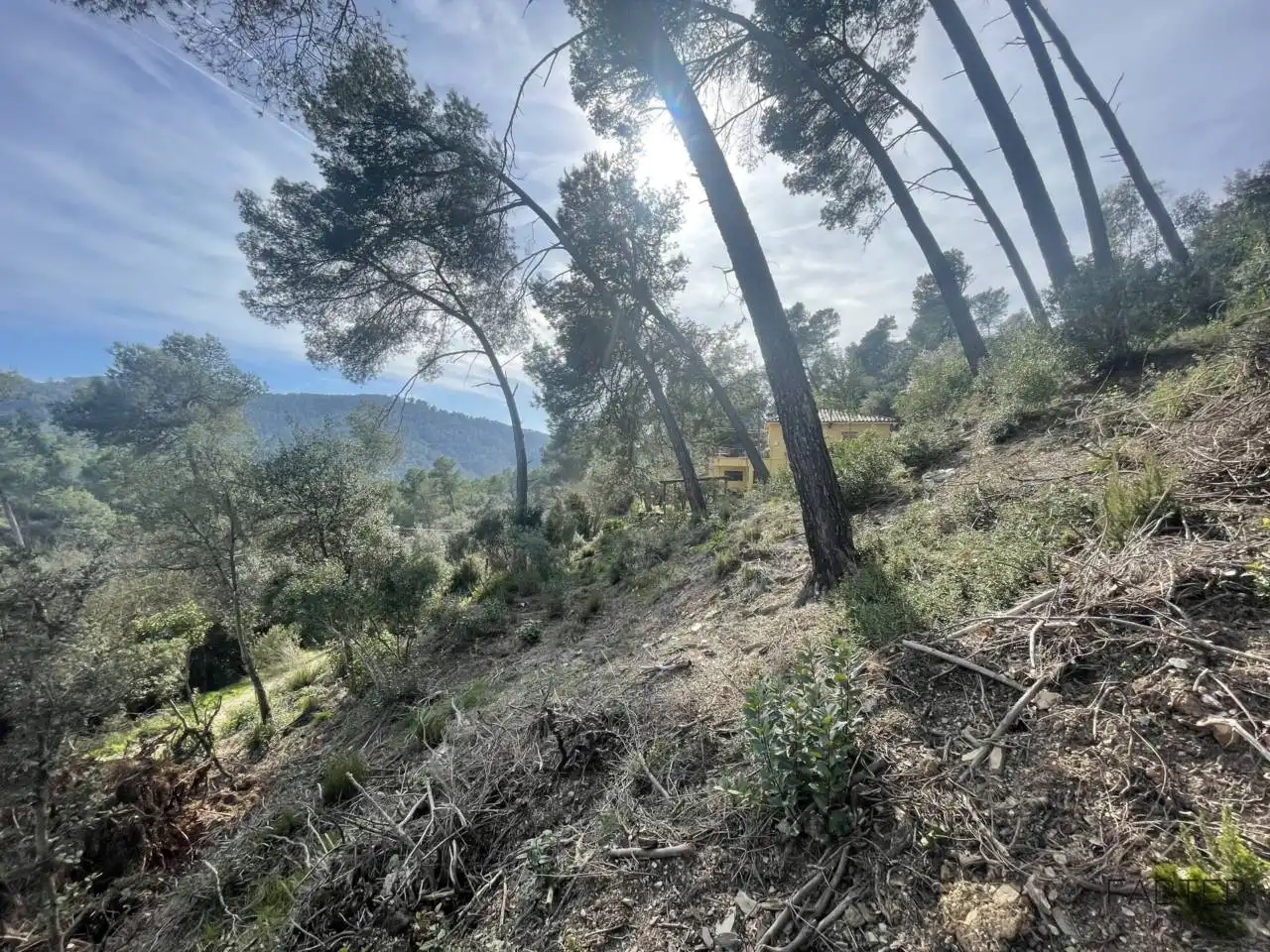 Rural land for sale in Avenida Modolell, imagen 2