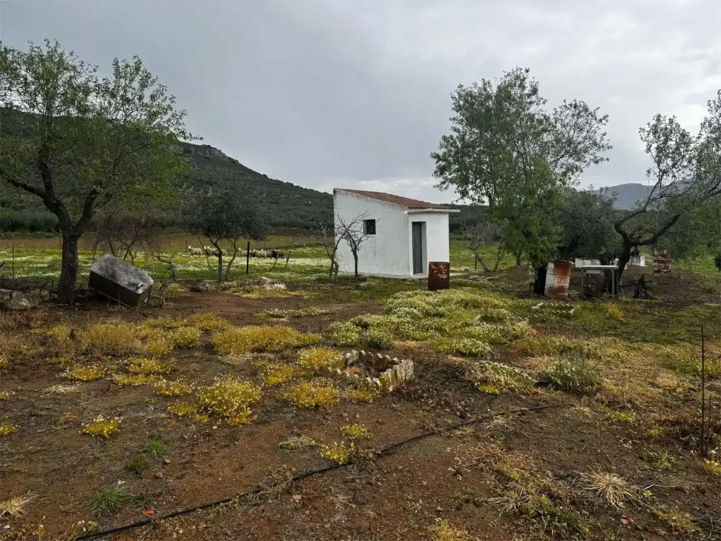 Pis en venda en Cabeza del Buey amb Jardí privat i Traster
