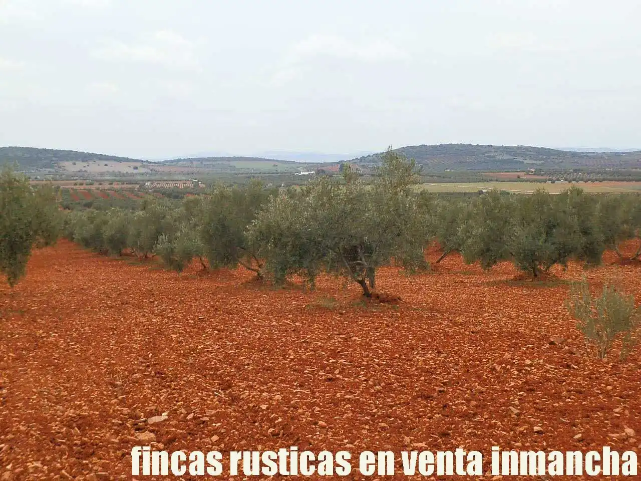 Rural land for sale in Valdepeñas