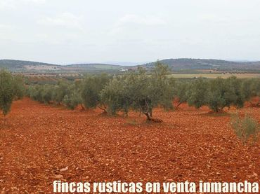 Rustikales Grundstück zum Verkauf in Valdepeñas