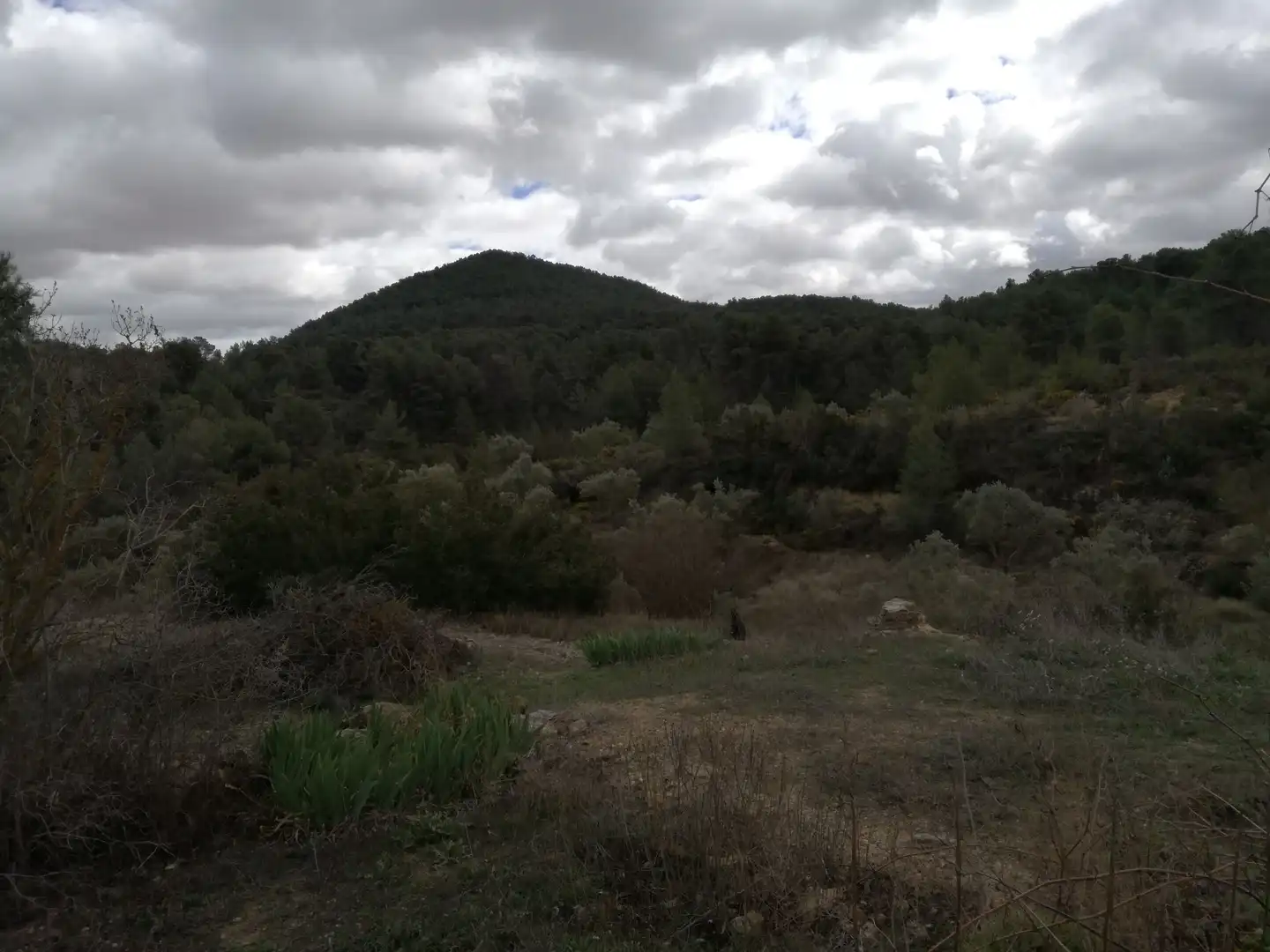 Country homes for sale in La Font de la Figuera