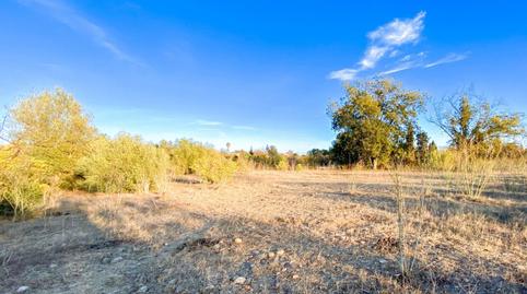 Foto 3 de Terreny industrial en venda a Calle de Romerito, 2, Campanillas, Málaga