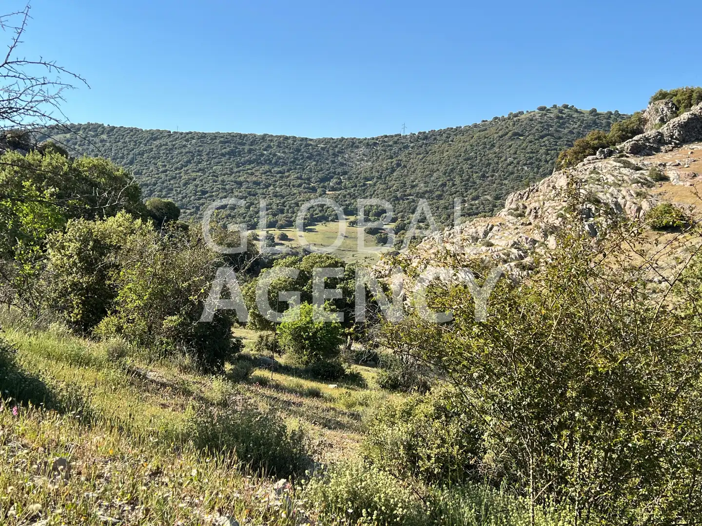 Terreny en venda en Jaén