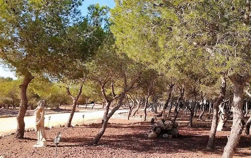 Finca rústica en venta en Rojales con Aire acondicionado, Calefacción y Terraza